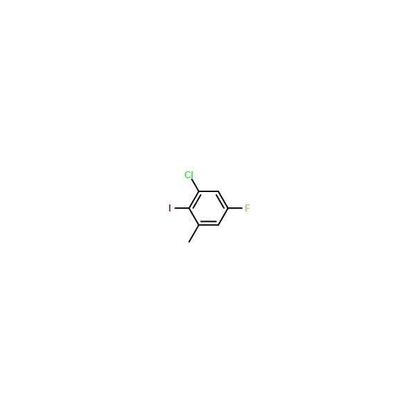 Ak Scientific 1-Chloro-5-fluoro-2-iodo-3-methylbenzene (5g), CAS 1242339-79-2 4578AA-5g - main
