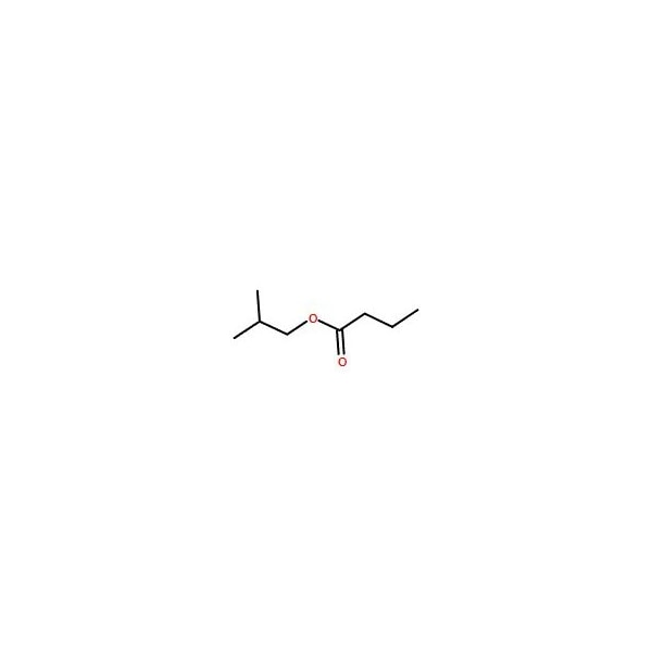 Ak Scientific Isobutyl butyrate (25mL), CAS 539-90-2 8715AJ-25mL - main