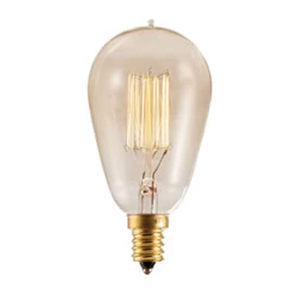Ilc Replacement Decorative Bulb, 25W, 120V, ST15, E12 Candelabra BULBRITE 132510 - main