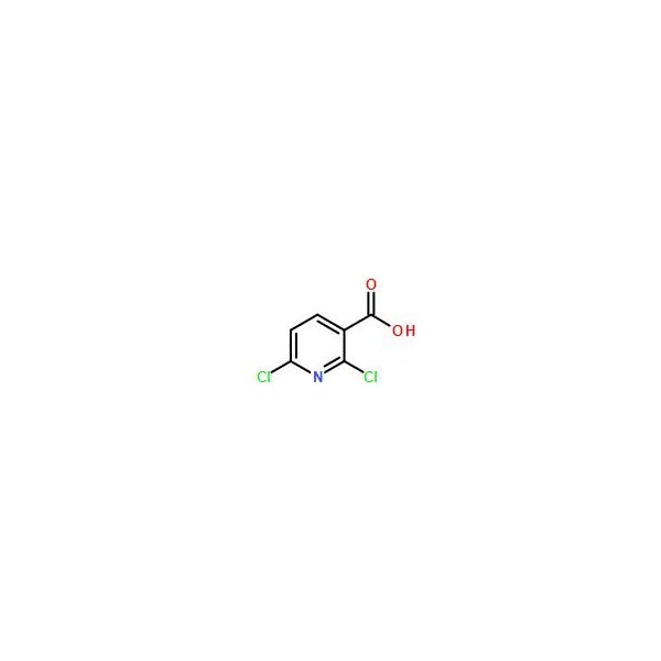 Ak Scientific 2, 6-Dichloronicotinic acid (5g), CAS 38496-18-3 P365-5g - main