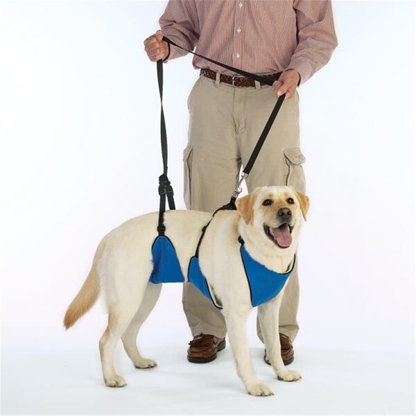 Pet Pals ZW477 14 19 Guardian Gear Lift & Lead 4-In-1 Sm Blue ZW7755 14 19 - main