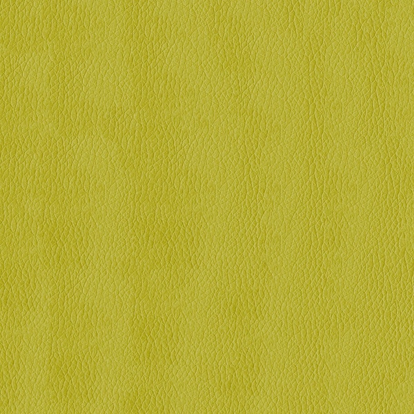 Abbeyshea Citron, Polyurethane Coated Faux Leather Fabric, 1 Yard L, 54 in W KENDR54 - main