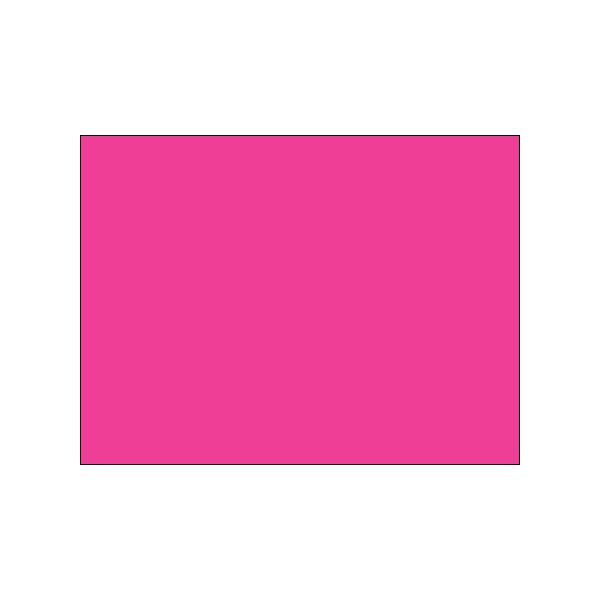 Bsc Preferred 4 x 4'' Fluorescent Pink Inventory Rectangle Labels DL638K - main