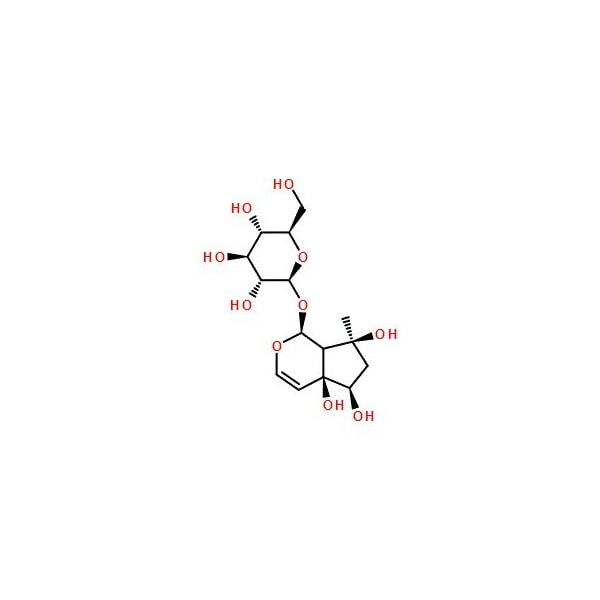 Ak Scientific Harpagide (25mg), CAS 6926-08-5 V1517-25mg - main