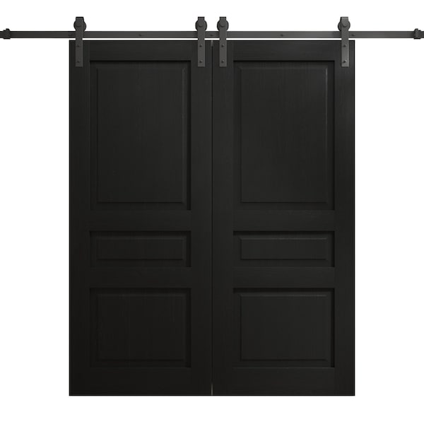 Sartodoors Modern Double Barn Door 84 x 84 inches, Ego 5012 Painted Black Oak, 14FT Rail Track Set, Solid Pa EGO5012DB-CHK-8484 - main