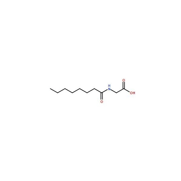 Ak Scientific 2-Octanamidoacetic acid (500g), CAS 14246-53-8 9356AF-500g - main