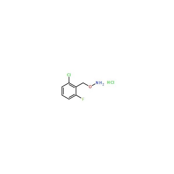 Ak Scientific O-(2-Chloro-6-fluorobenzyl)hydroxylamine hydrochloride (1g), CAS 93081-15-3 5750AC-1g - main