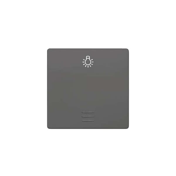 Siemens DELTA i-system carbon metallic Rocker switch with window with symbol light 5TG6226 - main