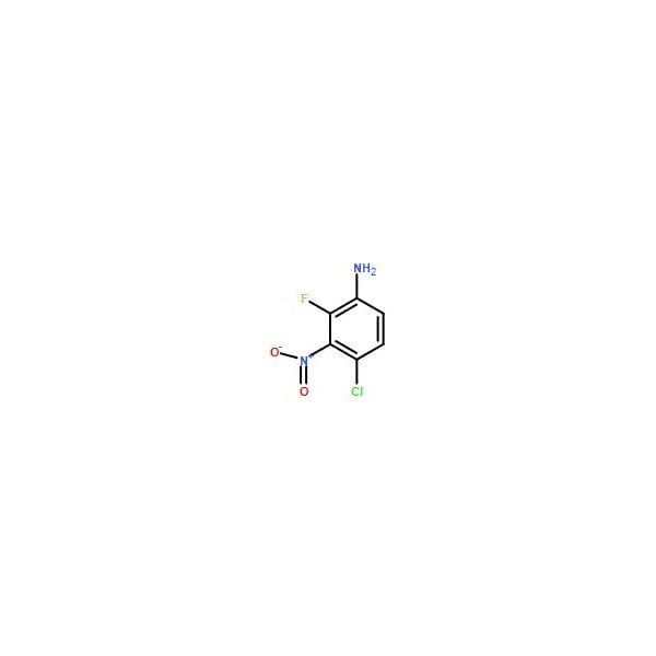 Ak Scientific 4-Chloro-2-fluoro-3-nitro-phenylamine (1g), CAS 2090607-05-7 Y1330-1g - main