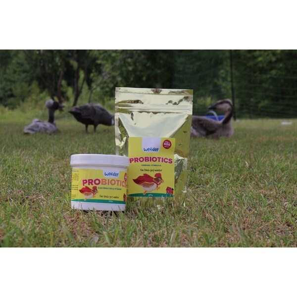 Wonder 200G Concentrate Probiotics PH551 - main