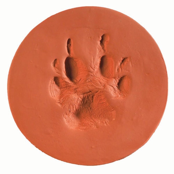 Jorgensen Laboratories ClayPaws Kits & Accessories - Terra Cotta kit J1500TC - main