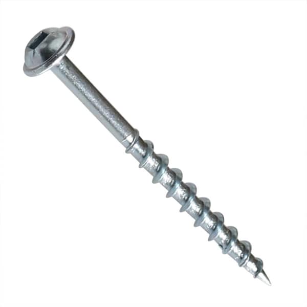 Big Horn Wood Screw, #8, 2 in, Stainless Steel Flange Round Head Square Drive, 250Pcs 12612 - main