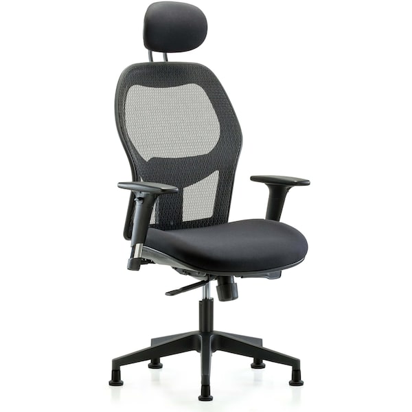 Blue Ridge Ergonomics Executive Mesh Chair, Headrest, AA, Glides BR-EXE-MDHCH-RG-H1-A1-RG - main