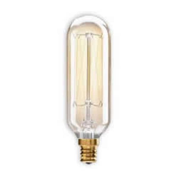 Ilc Replacement Decorative Bulb, 40W, 120V, T8, E12 Candelabra BULBRITE NOS40T8/E12 - main