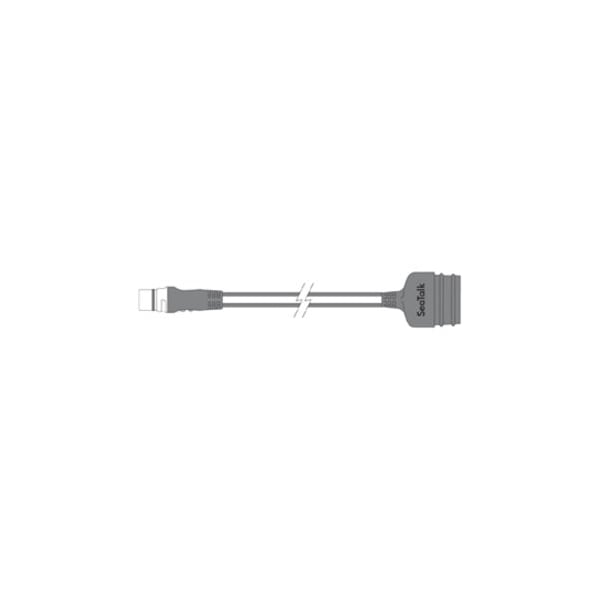 Raymarine Adapter Cable Seatalk (1) To Seatalk Ng A06047 - main