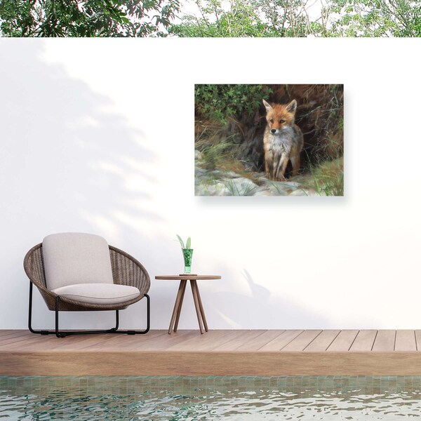 Trademark Fine Art Outdoor Canvas Art David Stribbling Young Red Fox Wall Art for Patios, or Gardens GRL00364-OC2432WR - main