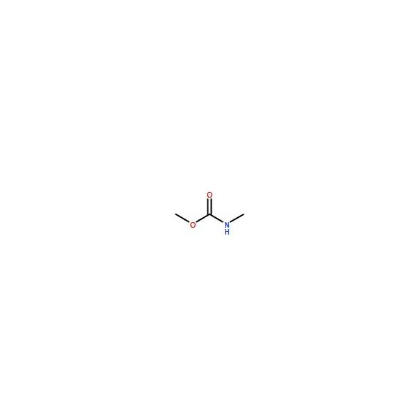 Ak Scientific Methyl methylcarbamate (1g), CAS 6642-30-4 X5906-1g - main
