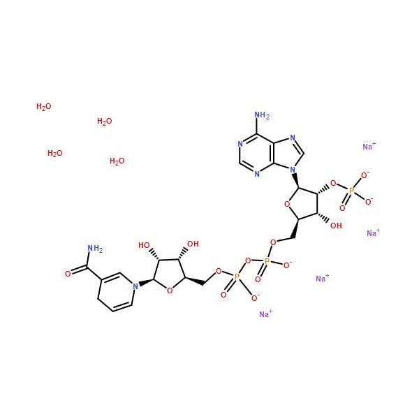 Ak Scientific Beta-nicotinamide adenine dinucleotide phosphate tetrasodium salt (reduced form) (100mg), CAS 2646- 6181AH-100mg - main