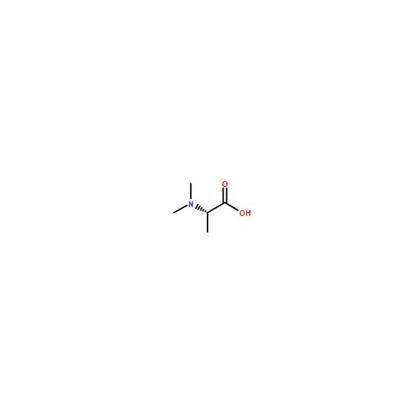 Ak Scientific (S)-2-(Dimethylamino)propanoic acid (1g), CAS 2812-31-9 1280AL-1g - main
