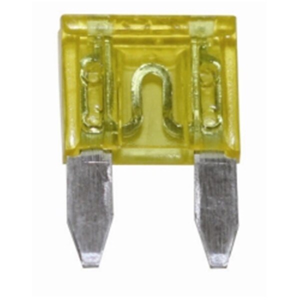 The Best Connection 30 amp Green Mini Fuse, 2PK JTT20309F - main
