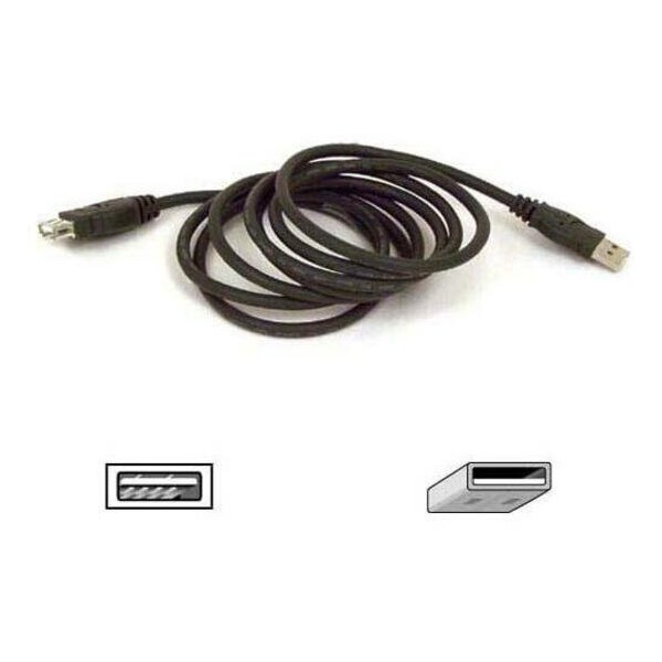 Belkin Belkin USB Extension Cable - Type A Male USB - Type A Female USB - 6ft F3U134B06 - main