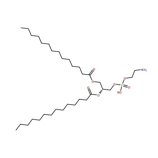 Ak Scientific 1, 2-Dimyristoyl-sn-glycero-3-phosphoethanolamine (5g), CAS 998-07-2 4456AL-5g - main