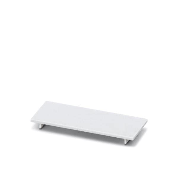 Phoenix Contact ME 22 5 PLATE-MSTBO KMGY DIN rail 2279279 - main