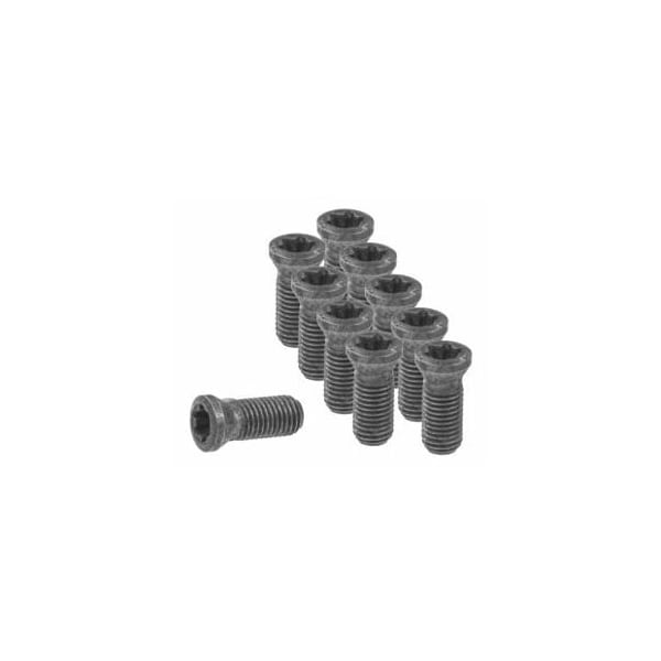Garant Set of Insert Screws, 10 Pieces 219869 - main
