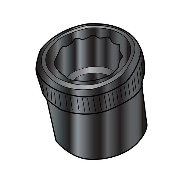 Zoro Select 6-32 12 Point Socket Allen Nut Black Ox & Oil