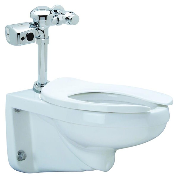 Zurn Snsr Wall Bwl Systm - Z5615 Elongated, Vitreous Wtr Clst w/EZ Flsh Vlve 1.28 GPF Z.WC2.S - main