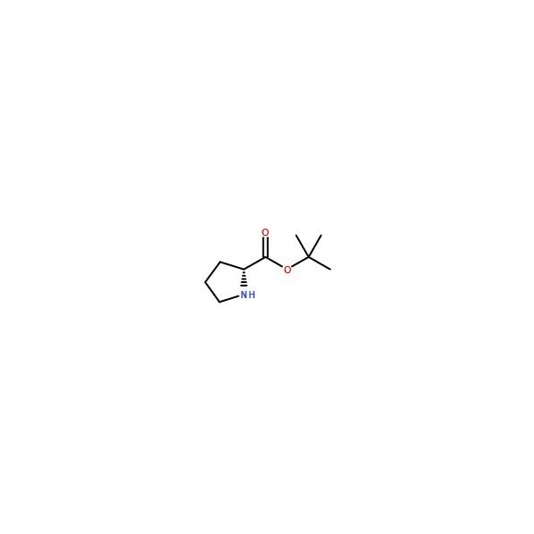 Ak Scientific H-D-Pro-OtBu (5g), CAS 90071-62-8 V8880-5g - main