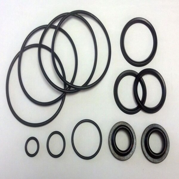 Springer Parts Valve Service Kit, RL 125, EPDM; Replaces Tuchenhagen Part# 221-528.22 221-528.22SP - main