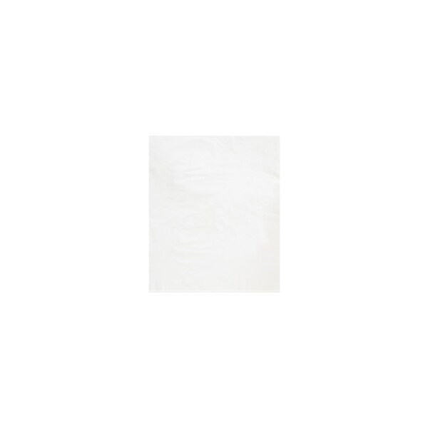 Bubblefast 1000-15 x 18'' - 2 Mil White Flat Poly Bags, 1000PK BFPB572W - main