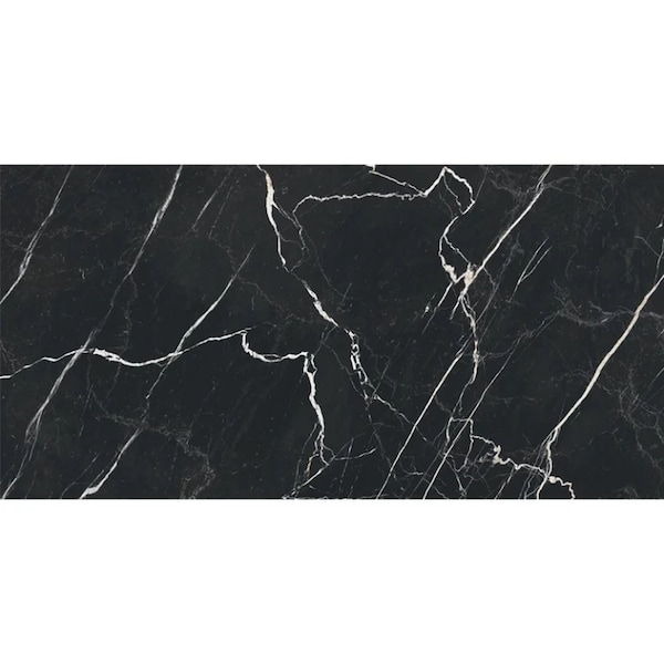 Apollo Tile Regalia 24x48 in. Nero Black Matte Porcelain Marble-look Vein Large Tile (15.5 sq ft/case) 2PK APLVEL88NER2448 - main