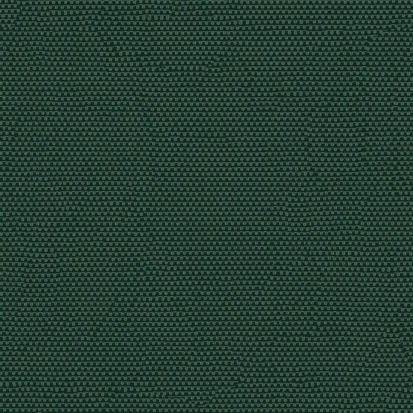 Phifertex Holly Green, Knitted Mesh, 1 Yard L, 54 in W PHIFEP3007154 - main