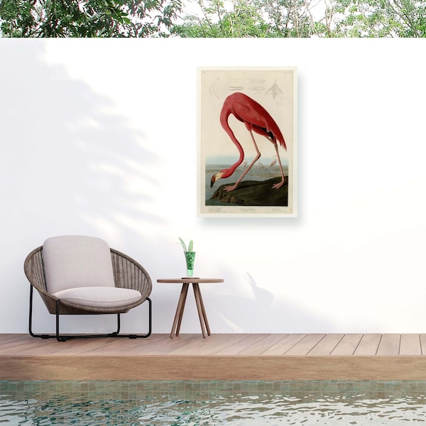 Trademark Fine Art Outdoor Canvas Art John James Audubon 'American Flamingo' Wall Art for Patios, or Gardens AA01276-OC1624WR - main