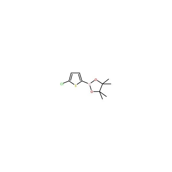 Ak Scientific 5-Chlorothiophene-2-boronic acid pinacol ester (5g), CAS 635305-24-7 X0913-5g - main