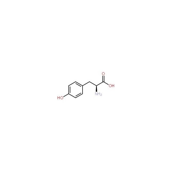 Ak Scientific L-Tyrosine (500g), CAS 60-18-4 C874-500g - main