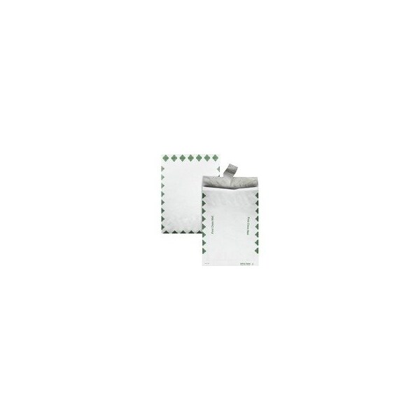 Survivor ENVELOPE, EXPN, 1CL, 10X13X1.5, 100PK R4510 - main