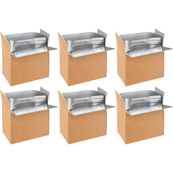 Yssoa Simple Deluxe Insulated Shipping Boxes with Aluminum Foil Liner, 19inx12inx16in, 6PK OPFOAMCARTONLX6BAG - main