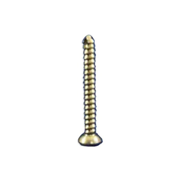 Jorgensen Laboratories Titanium Cortical Self-Tapping Screw, 2.7mm x 22mm x 2.0mm J1072IT - main