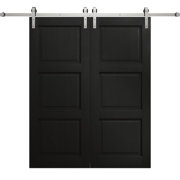 Sartodoors Modern Double Barn Door 84 x 80 inches, Ego 5010 Painted Black Oak, 14FT Silver Rail Track Set, S EGO5010DB-S-CHK-84 - main