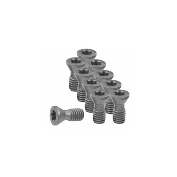 Garant Set of Insert Screws, 10 Pieces 219800 - main