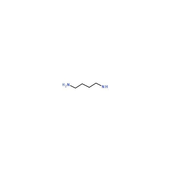 Ak Scientific 1, 4-Diaminobutane (25g), CAS 110-60-1 G690-25g - main