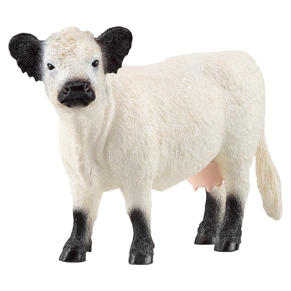 Schleich Galloway Cow Figurine Black/White 1 pc 13960 - main