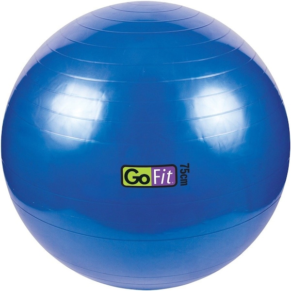 Gofit Exercise Ball with Pump (75cm; Blue) GF-75BALL - main