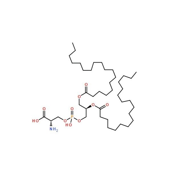 Ak Scientific L-alpha-Phosphatidyl-L-serine (50mg), CAS 39382-08-6 X8423-50mg - main