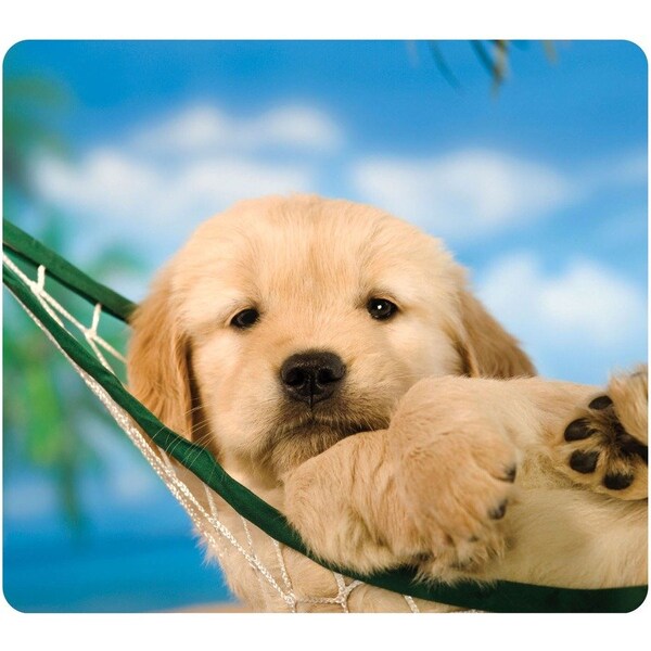 Fellowes Recycled Mouse Pad, Nonskid Base, 9 X 8 X 1/16, Puppy In Hammock 5913901 - main