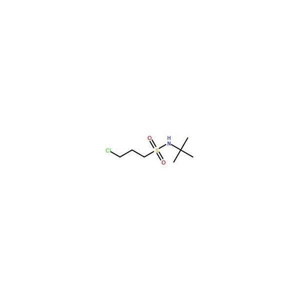 Ak Scientific 3-Chloropropane-1-sulfonic acid tert-butylamide (1g), CAS 63132-85-4 9594AB-1g - main