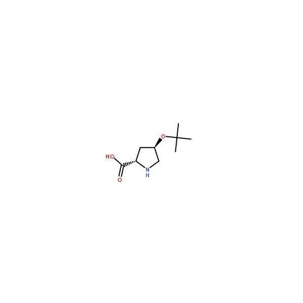 Ak Scientific O-tert-Butyl-L-trans-4-hydroxyproline (5g), CAS 79775-07-8 Z5976-5g - main
